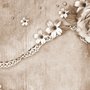 Dark Rose and Daisy Floral Wallpaper Mural