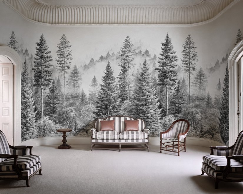 Monochrome forest with fog wallpaper mural showing tall pine trees, firs and silver-grey mist