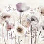 Papier peint panoramique aquarelle fleurs de coquelicot foncées