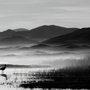 Monochrome Dark Lake Landscape Wallpaper Mural
