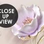 Fototapete Schmuck Tulpenblumen