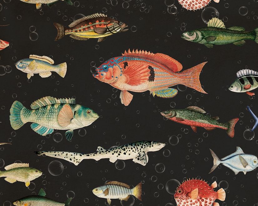 Vintage Ocean Fish Art Wallpaper Mural