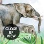 Kids Tropical Forest with Cute Safari Animals Wallpaper Mural