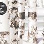 Birch Tree Forest in Winter Wallpaper Mural