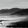 Papier peint panoramique monochrome de paysage de lac sombre Papier peint panoramique