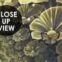 Dark Floral of Yellow Light Wallpaper Mural