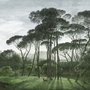Tropical Forest and Horned Deer Wallpaper Mural
