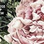 Dunkle Botanische Sanfte Blumen Fototapete