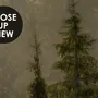 Foggy Pine Forest Landscape Wallpaper Mural