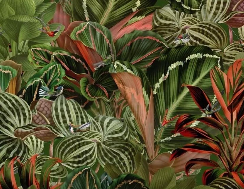 Tropical Rainforest with Little Birds Wallpaper Mural