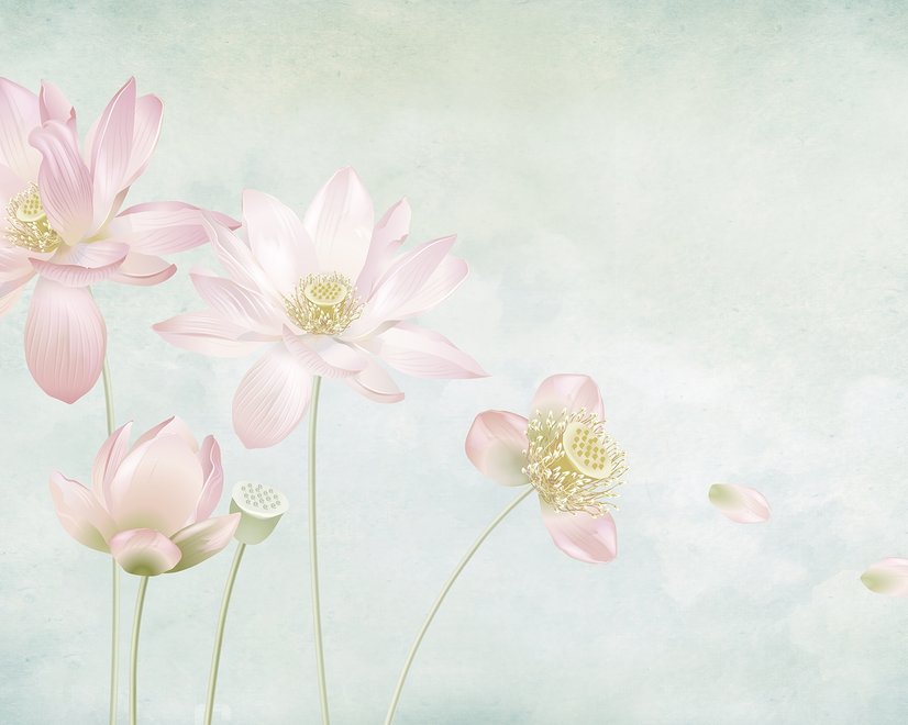 Fototapete mit hellrosa Lotusblume