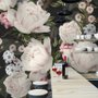 Light Blossom Flowers Wallpaper Mural