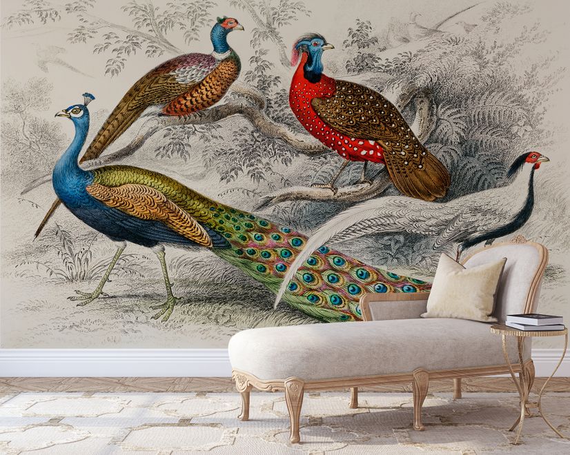 Historical Vintage Peacock Art Wallpaper Mural