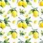 Lemon with Leaf Wallpaper Mural