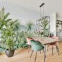 Tropical Forest Landscape and Banana Trees Wallpaper Mural