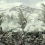 Vintage Tropical Forest Wallpaper Mural