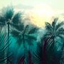 Tropical Palm Forest Wallpaper Mural