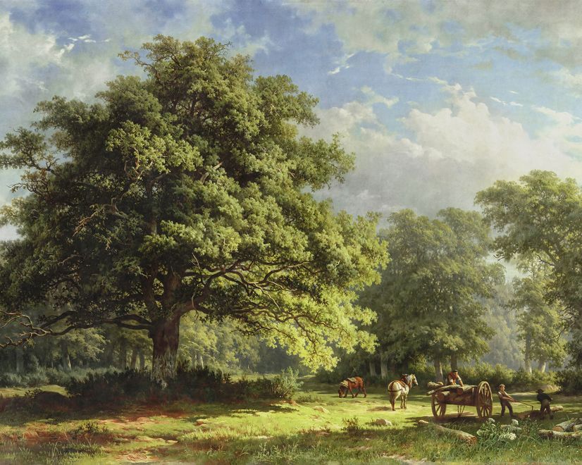 Rural Life View Wallpaper Mural