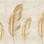 Brown Feather Wallpaper Mural