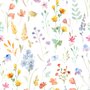 Aquarell Bunte Botanische Wildblumen Fototapete