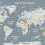 Kids Boys Kids World Map with Animals Wallpaper Mural