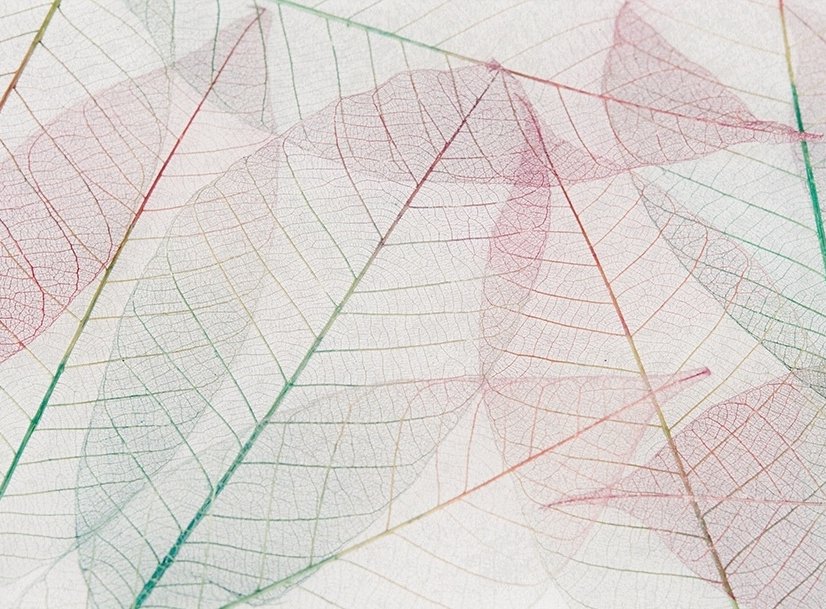 Papier peint panoramique nervures de feuilles roses