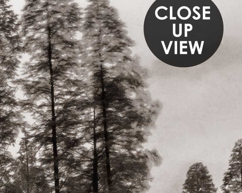 Monochrome Dark Forest and Lake Wallpaper Mural