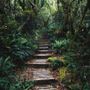 Jungle Pathway Wallpaper Mural