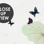 Watercolor Lotus Flower and Butterflies Wallpaper Mural