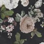 Dunkle Blumen und Weiße Pfingstrosen Fototapete