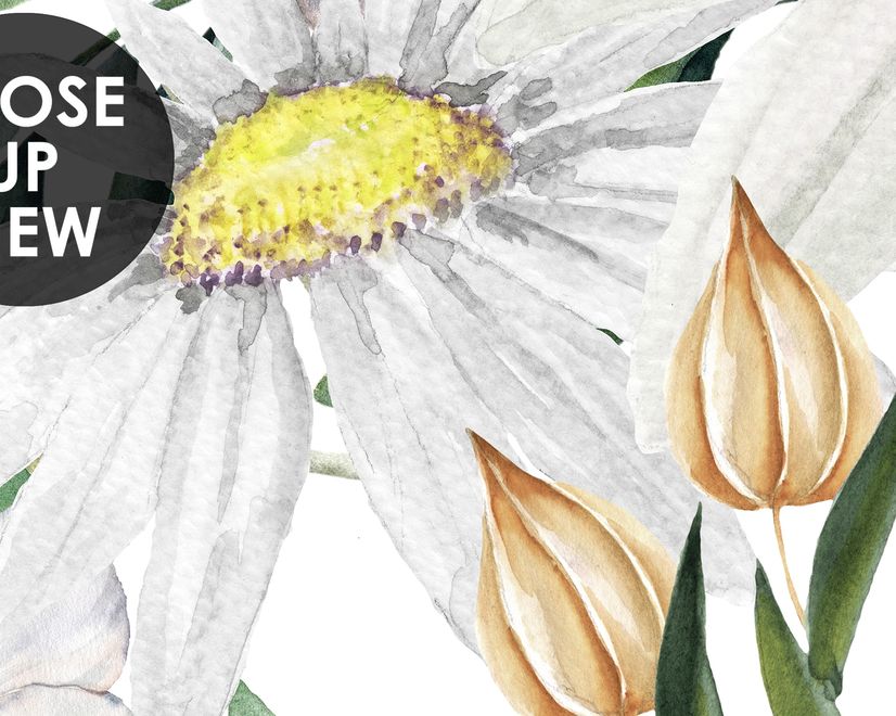 Bright Daisy Flower Bouquet with Green Leaves Wallpaper Mural