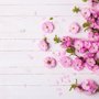 Papier peint panoramique fleuri rose pivoine
