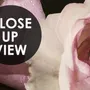 Dark Peony Floral Bouquet Wallpaper Mural