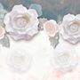 Vintage White Rose Floral Wallpaper Mural