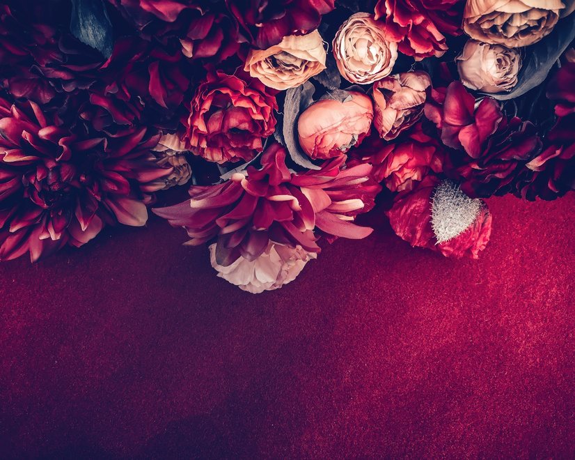 Papier peint bouquet de dahlia rouge et rose