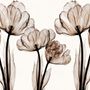 Transparent Floral Art Wallpaper Mural