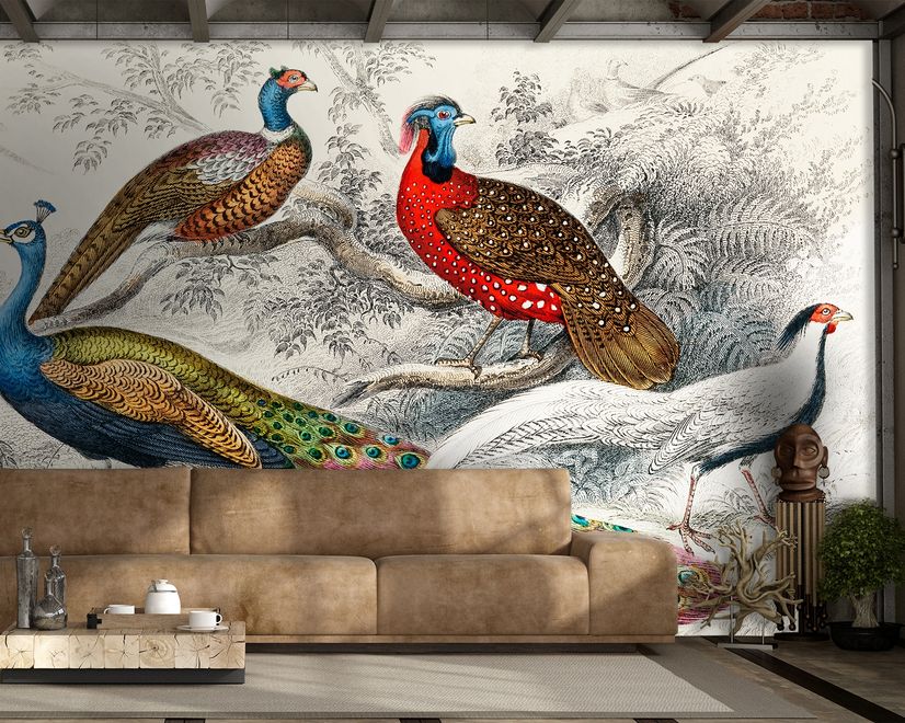 Historical Vintage Peacock Art Wallpaper Mural