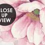 Pastel Pink Flower Wallpaper Mural