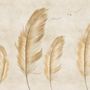 Brown Feather Wallpaper Mural