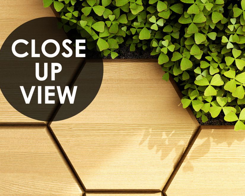 Hexagon Honeycomb Pattern and Fresh Grass Wallpaper Mural