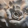 3D Embossed Look Cement Roses Wallpaper Mural