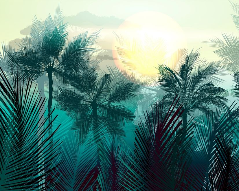 Tropical Palm Forest Wallpaper Mural