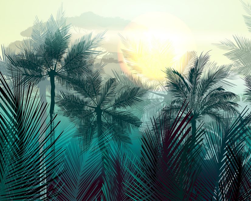 Papier peint palmiers tropicaux lumière soleil