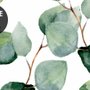 Papier peint panoramique avec motif de feuilles d'eucalyptus en aquarelle