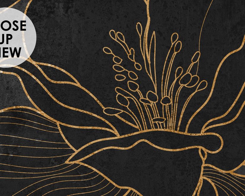 Dark Navy Peony Floral Drawing Art Wallpaper Mural