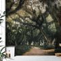Tree Roots Wallpaper Mural