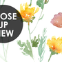 Watercolor Colorful Botanical Wild Flower Wallpaper Mural