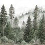 Misty mountain wallpaper mural with tall pine trees, layered green forest and pale foggy ridges