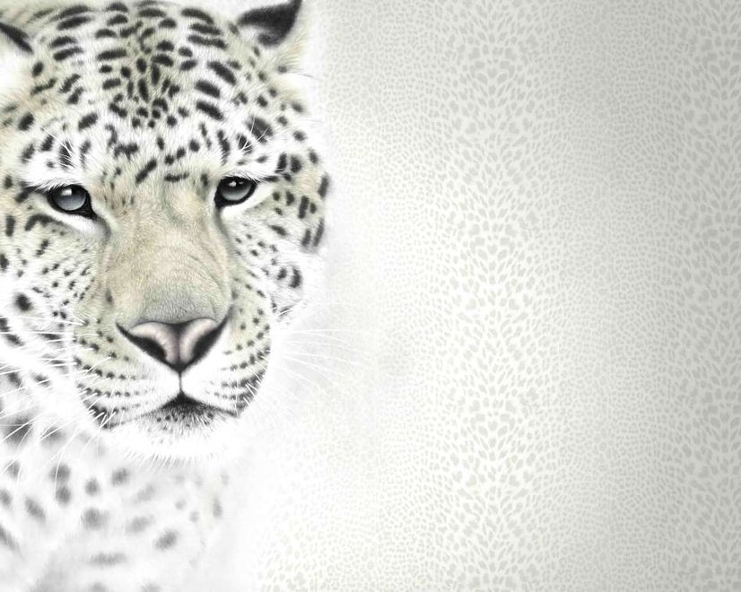 Papier peint panoramique tigre monochrome effet 3D