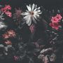 Dark Floral Garden Wallpaper Mural
